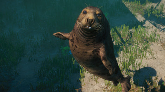 Planet Zoo - Aquatic Pack DLC ezgame.dk